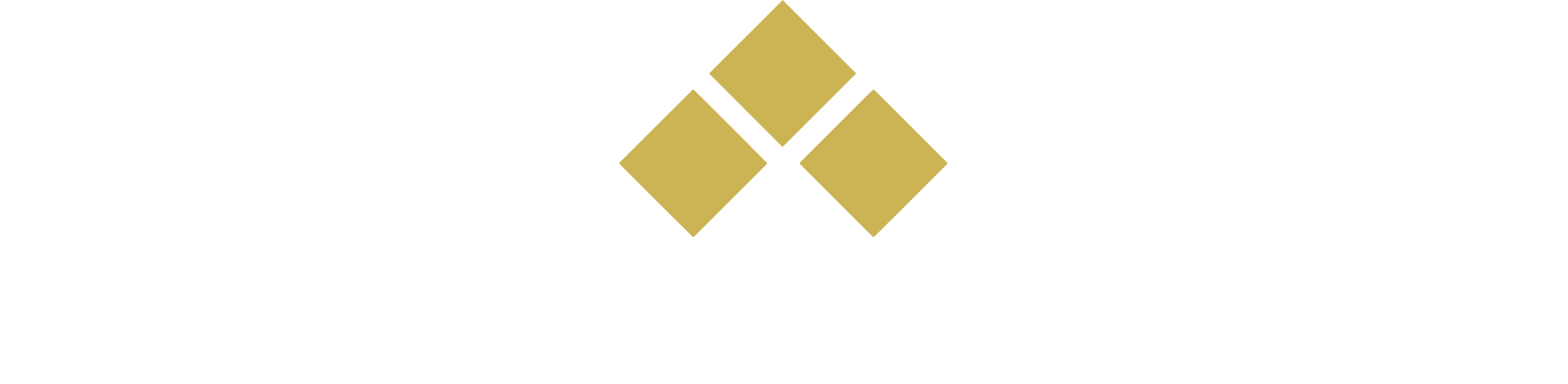 Black Diamond